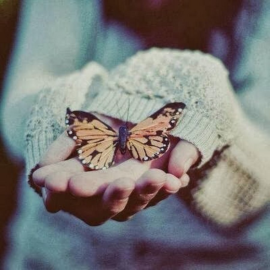 Отпустить бабочку