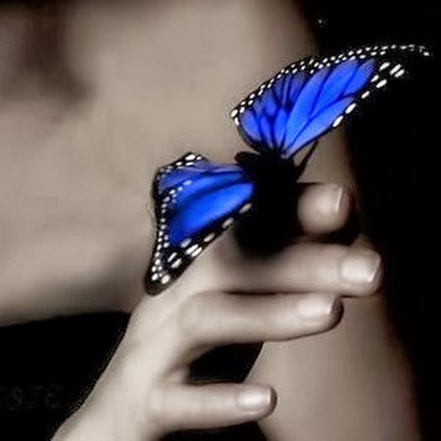 Голубая бабочка на руке