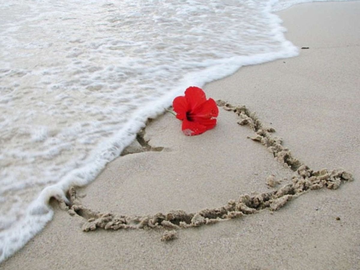 Любовь на песке