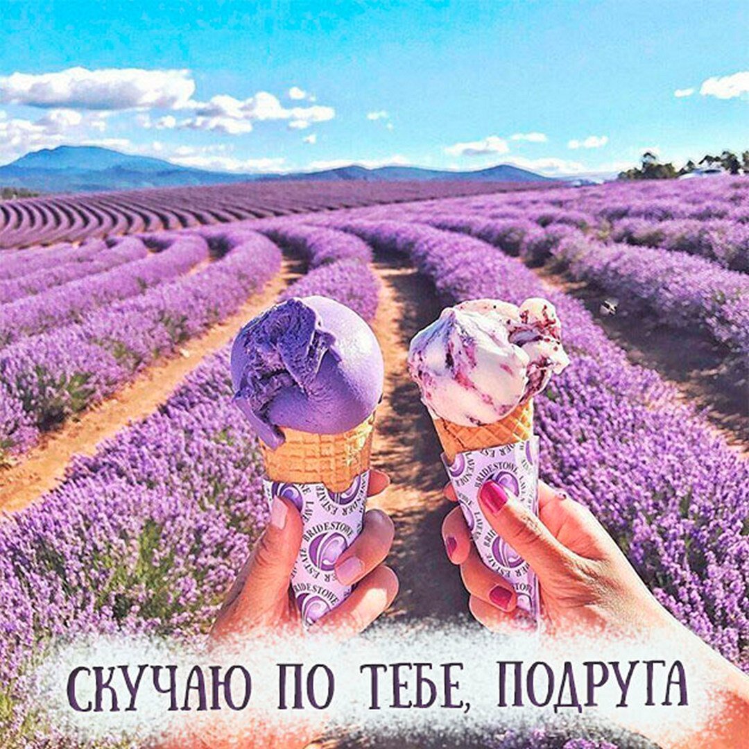 Красивый блокнот для инстаграма