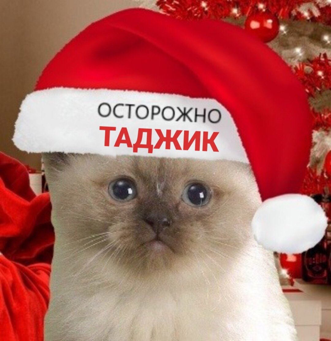 Татарин на аву