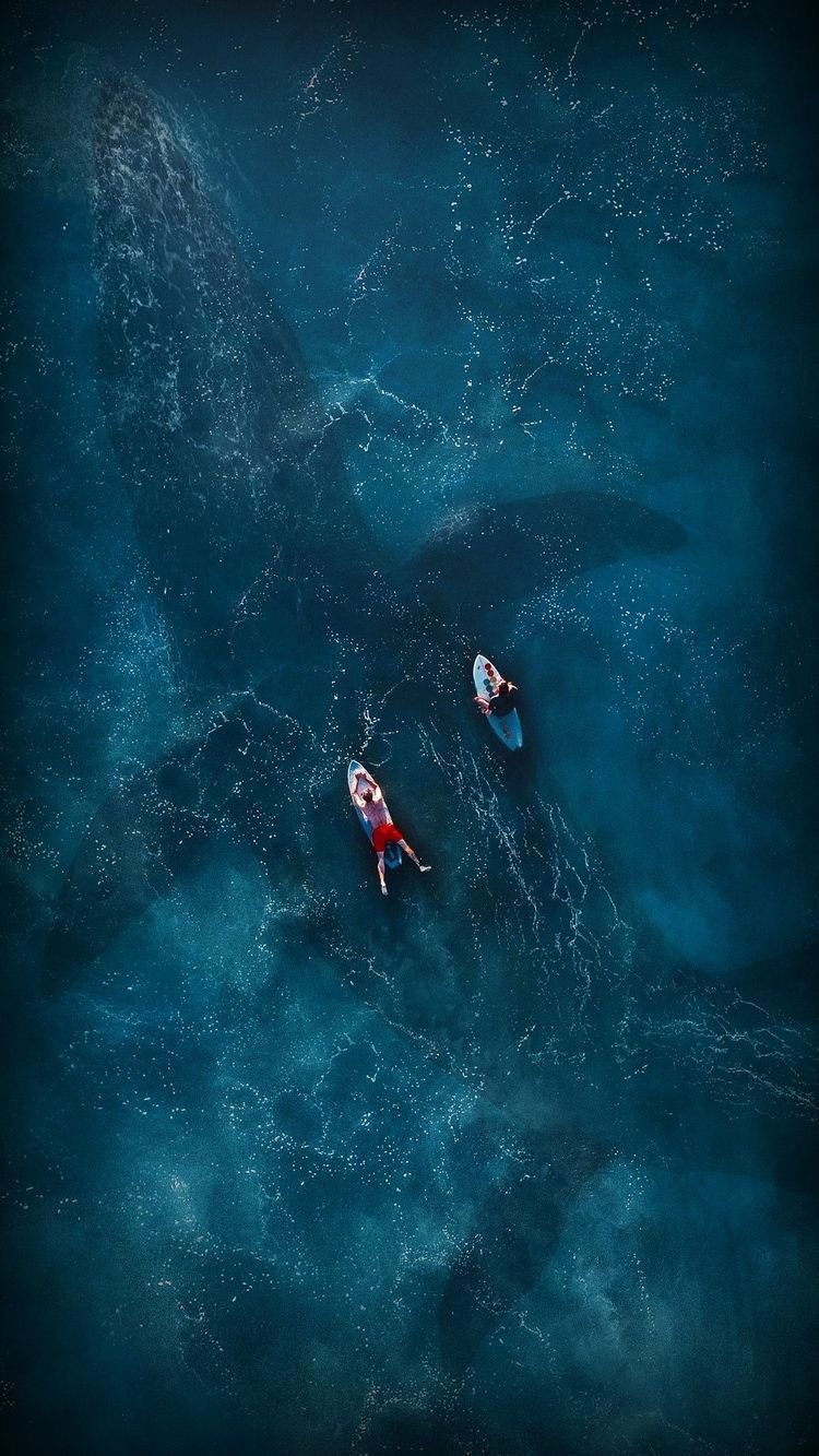 Картинки на заставку