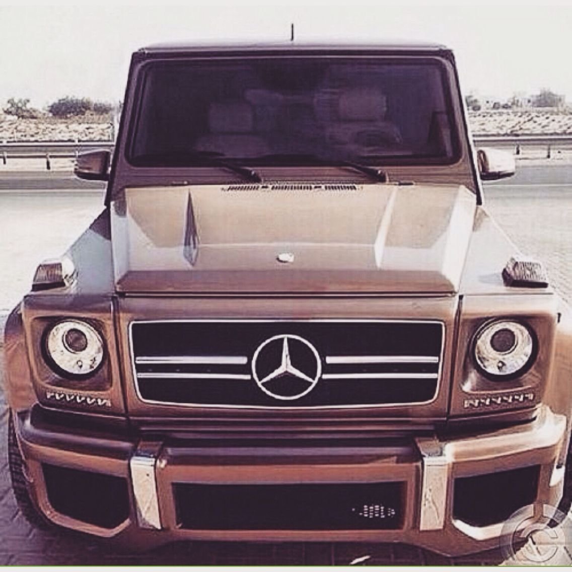 Морда Гелика