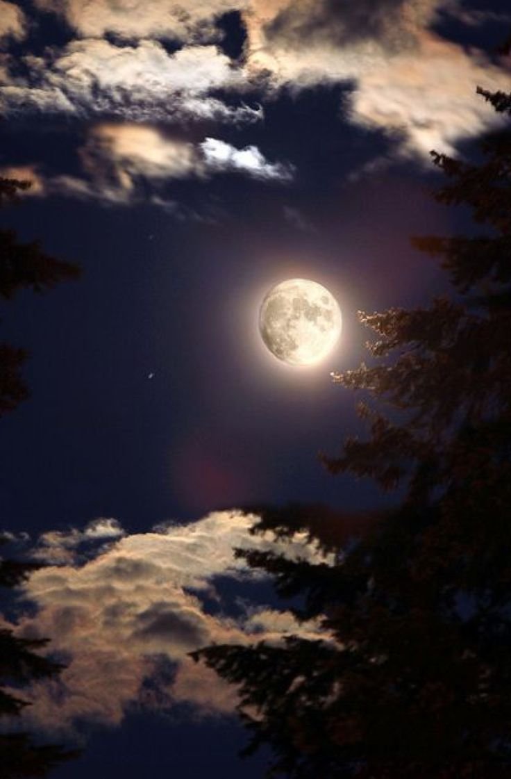 Ночь фэнтези