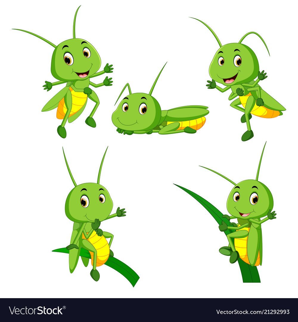 Милый кузнечик