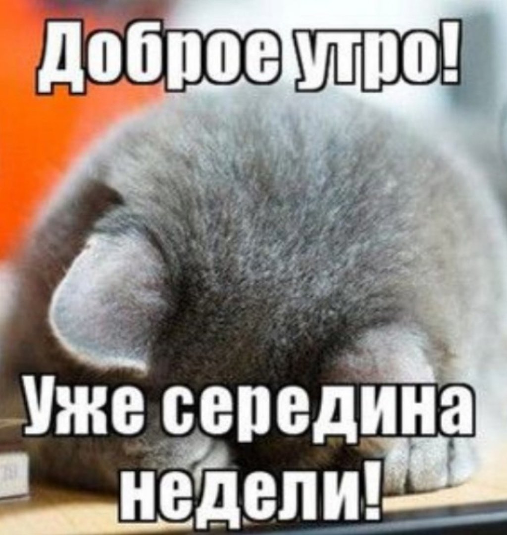 С добрым утром дорогой мой человек