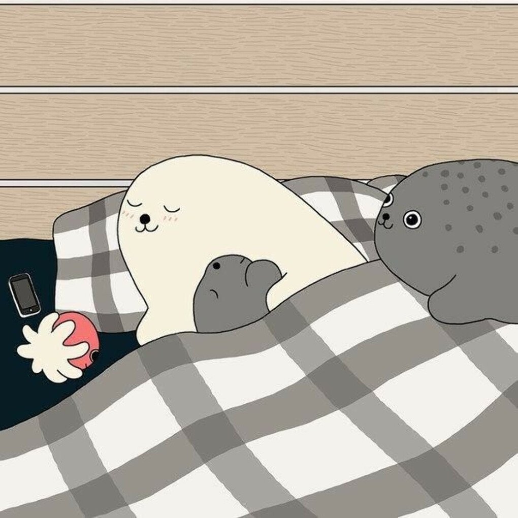 Спящий тюлень