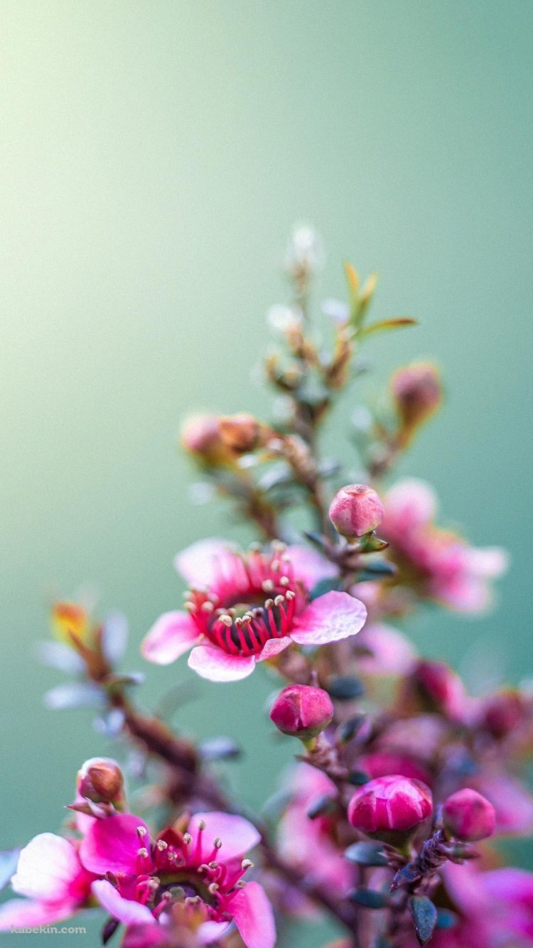 Вертикальные панорамы