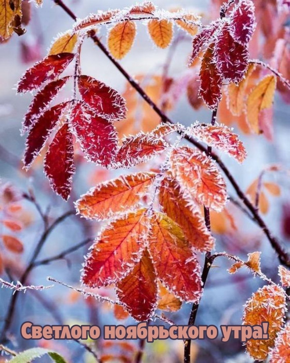 Ноябрьский пейзаж