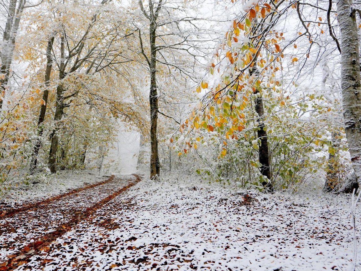 Поздняя осень