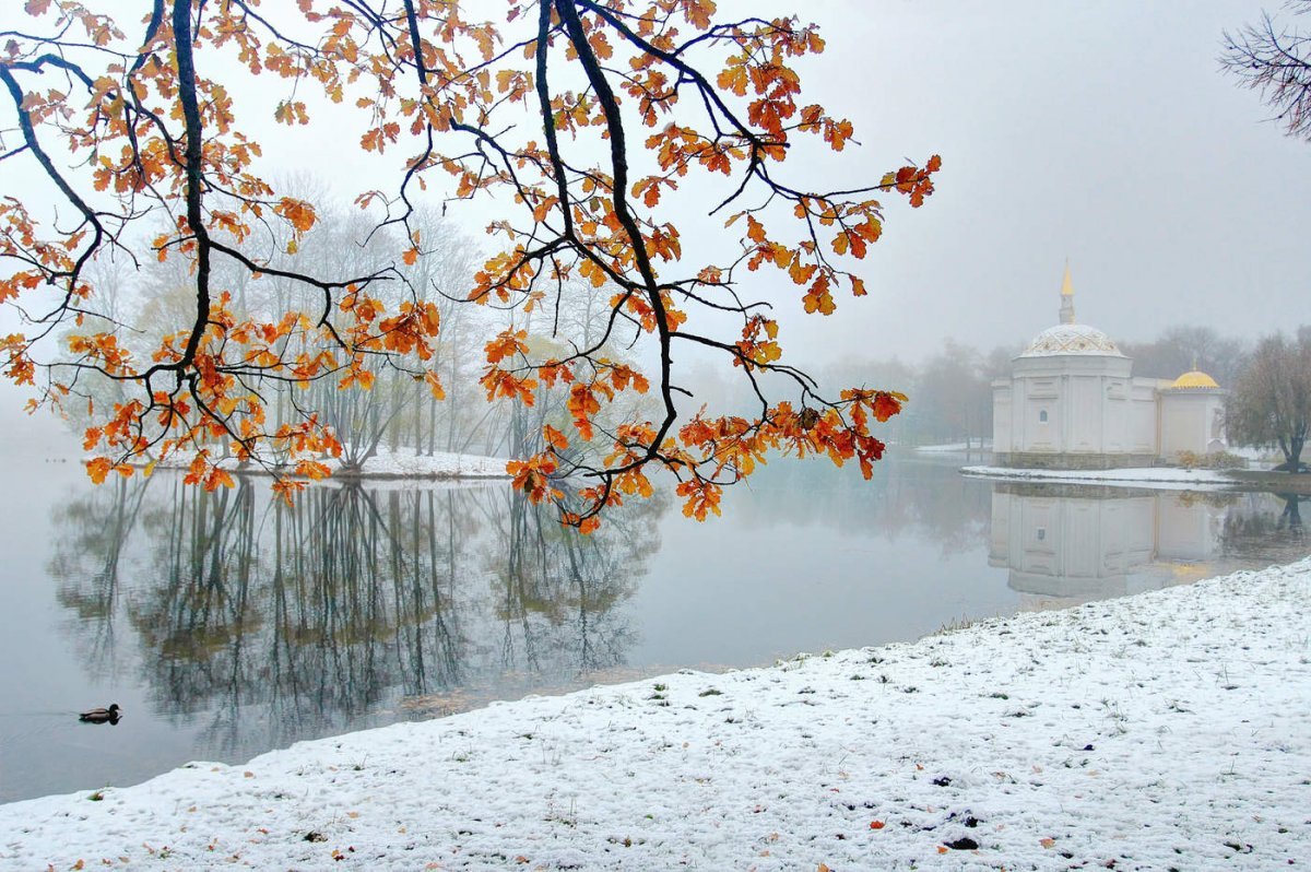 Осень дождь