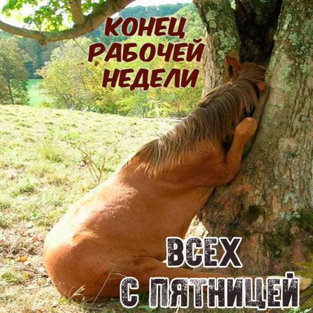 Пятница день бухгалтера