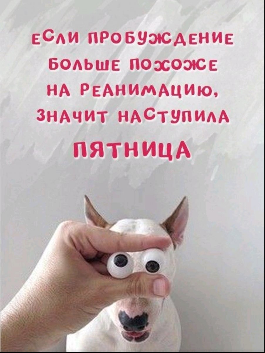 Доброе утро пятницы прикольные