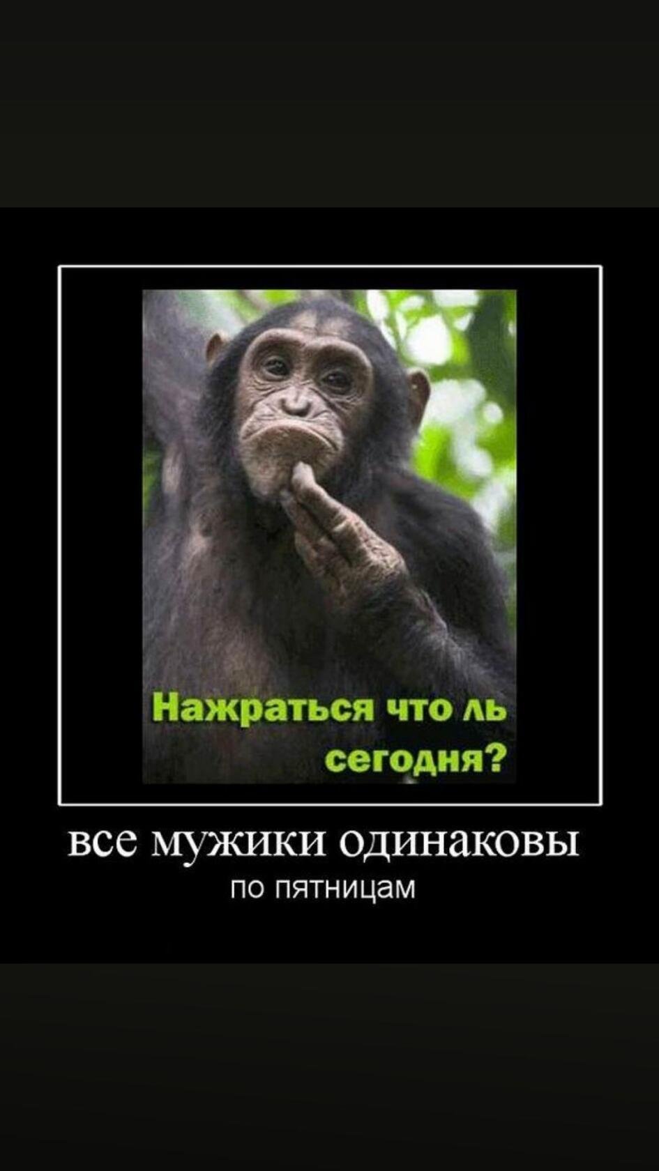 Шутки про пятницу