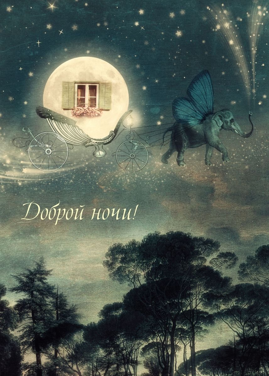 Сказочный сон