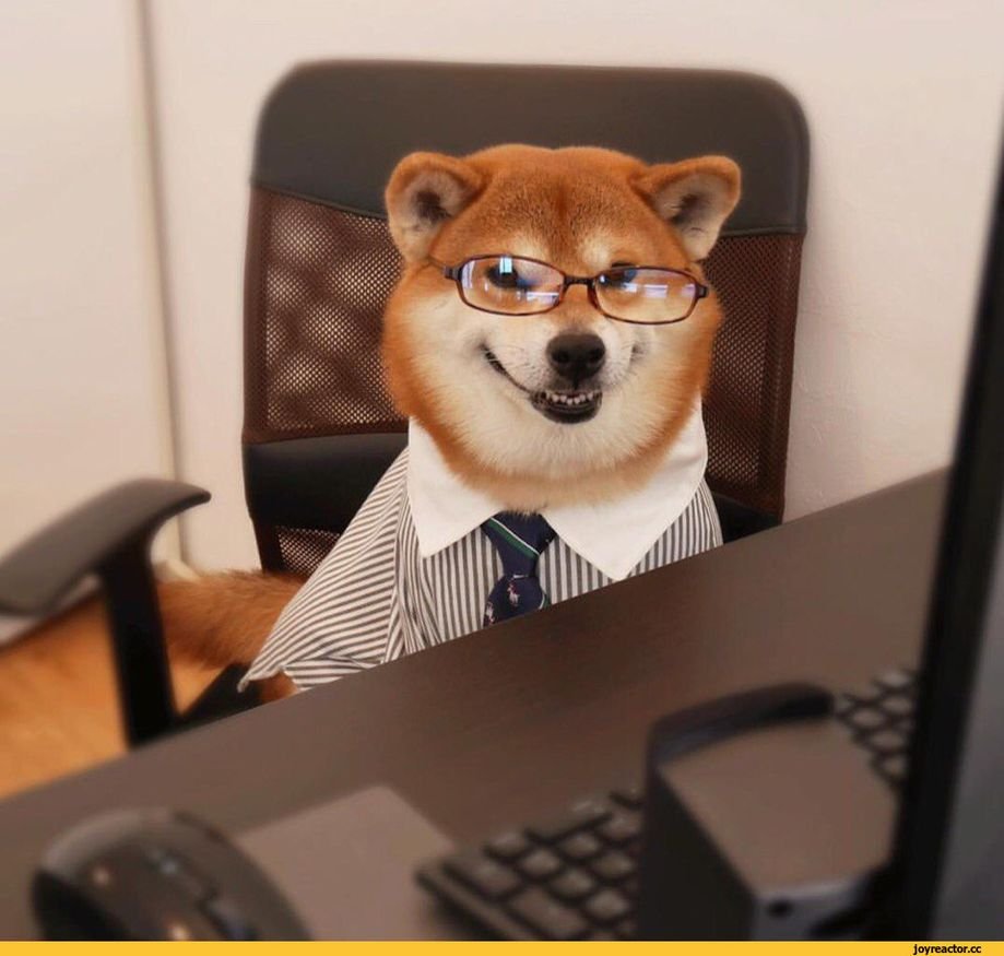 Картинки про директора смешные