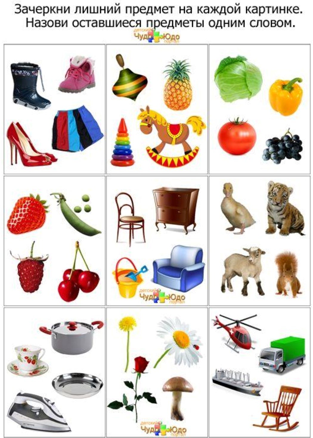 Найди лишний предмет