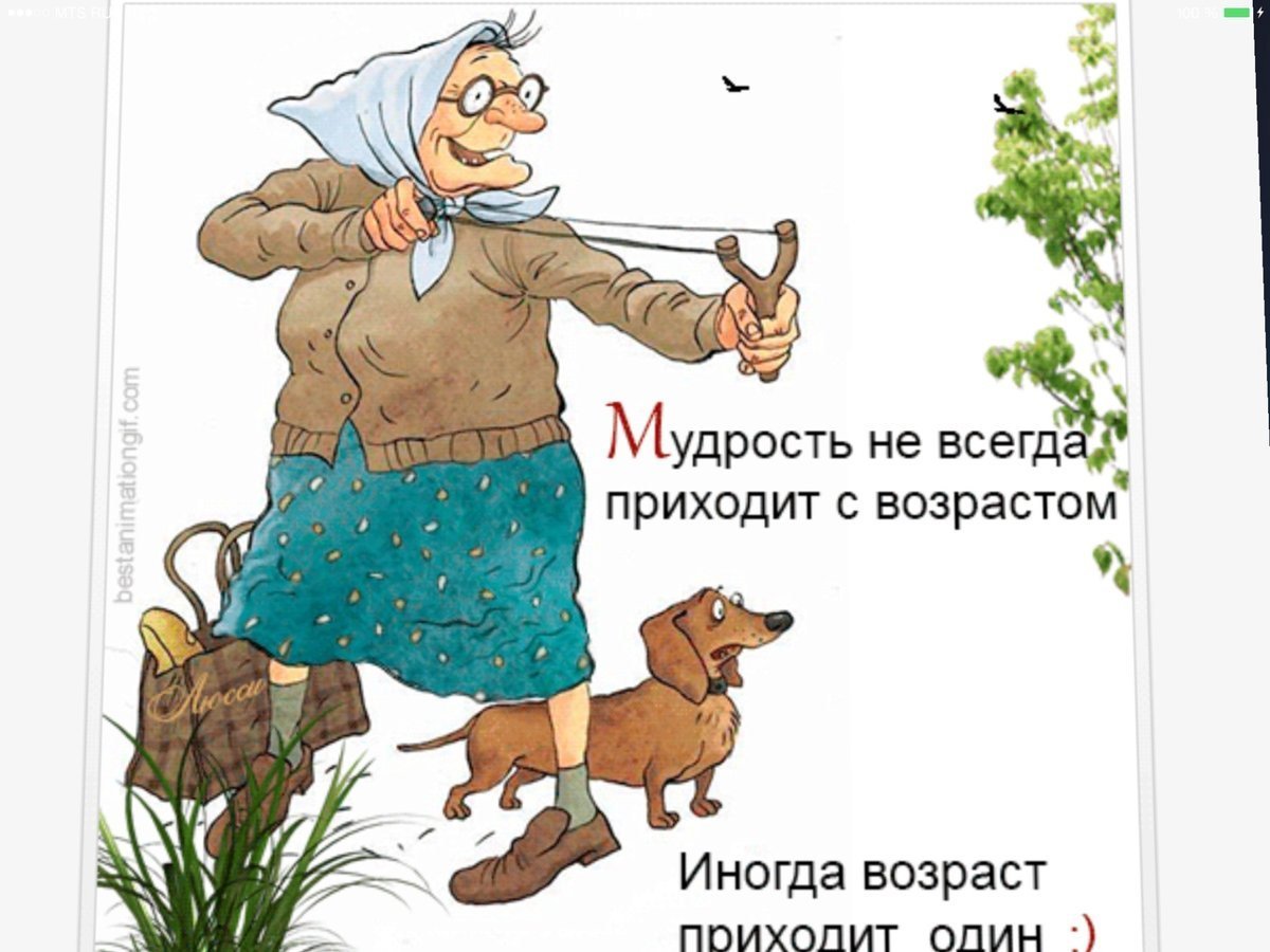 Приколы про старость