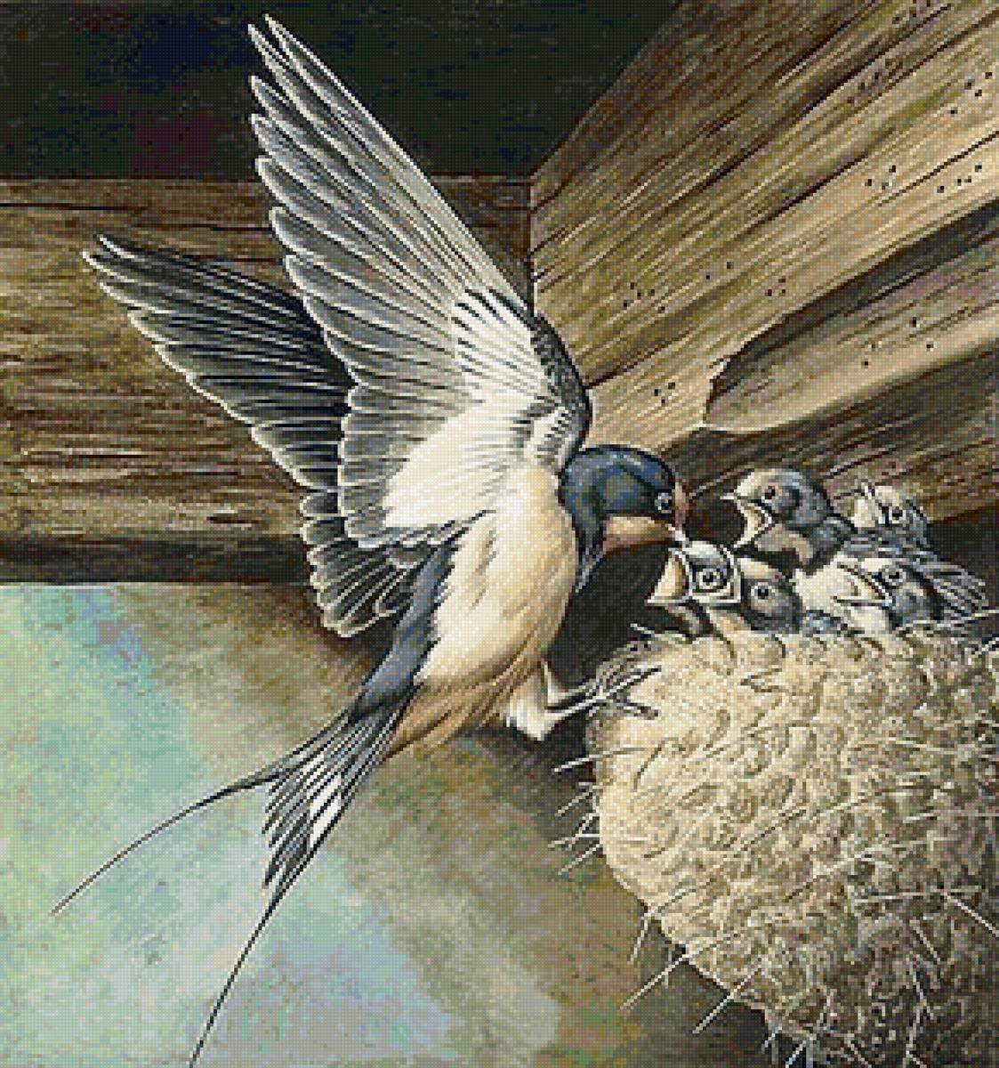 Гнездо ласточки картинка для детей