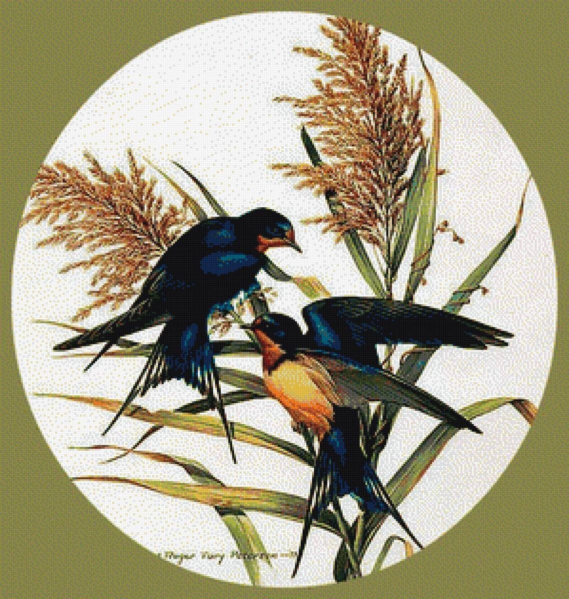 Птицы монохром для декупажа