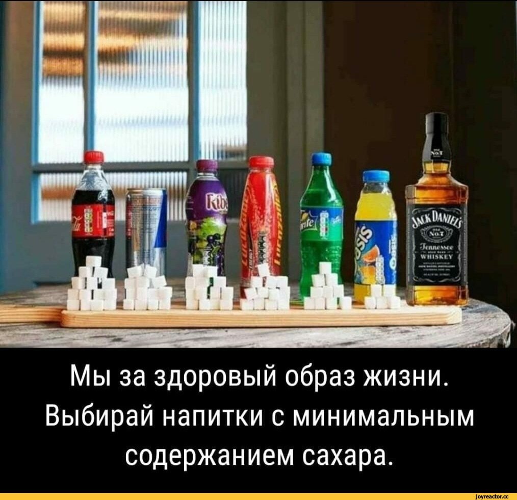 Приколы про здоровый образ жизни