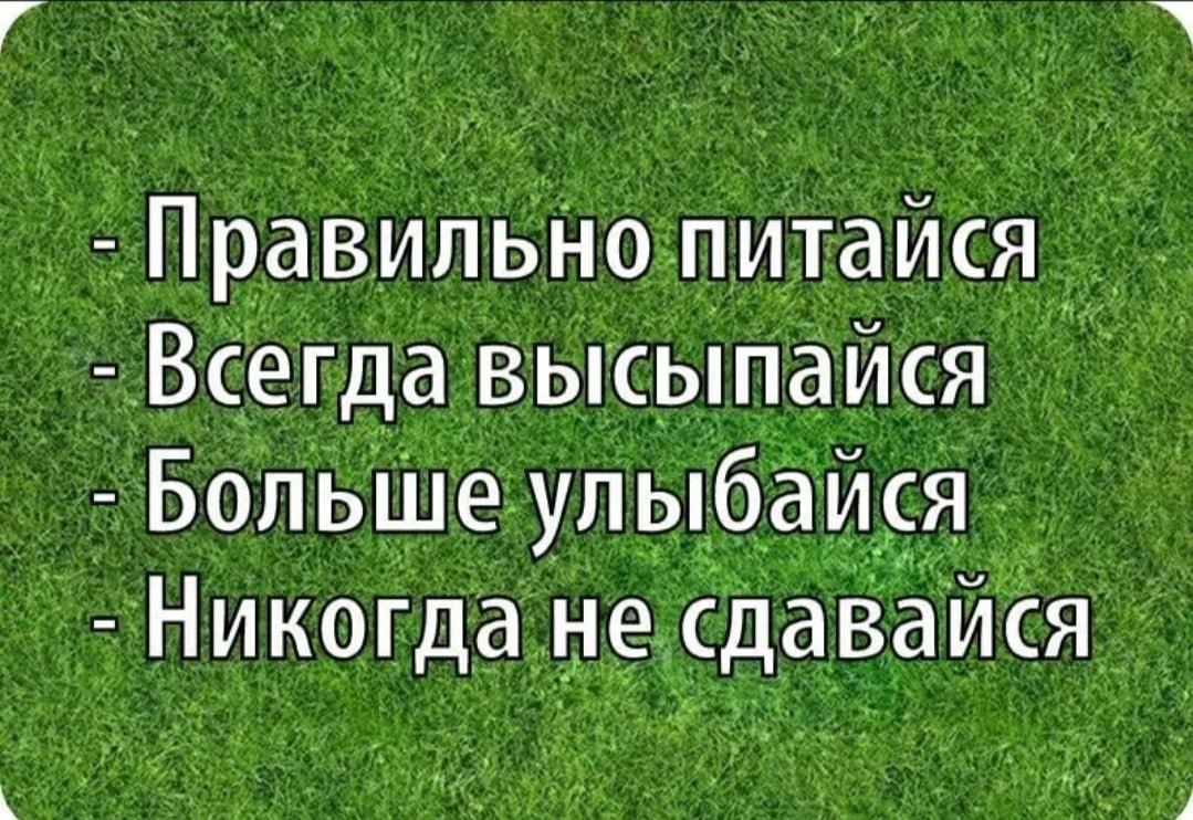 Афоризмы про здоровье