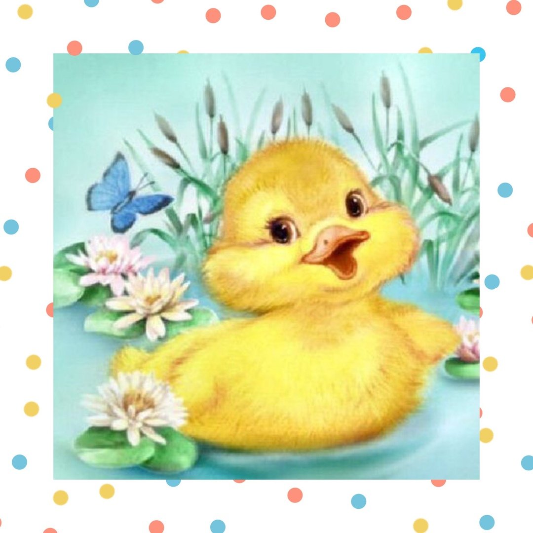 Утка домашняя