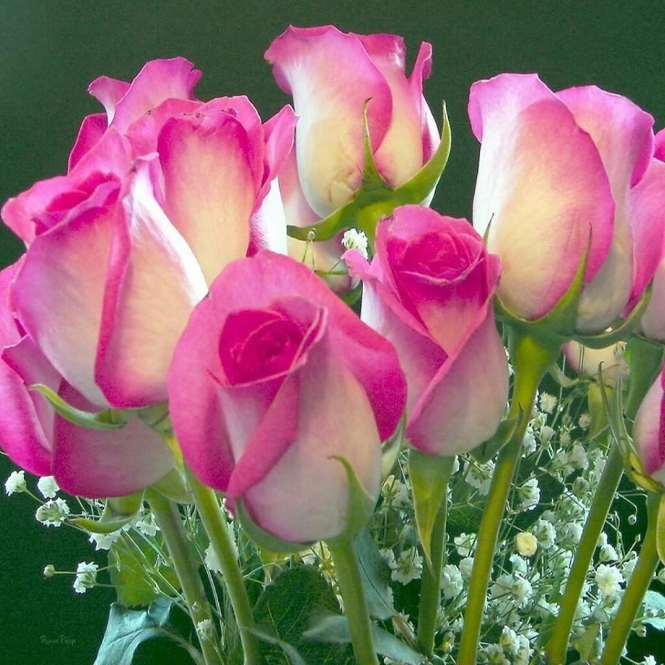 Христианские открытки с пожеланиями