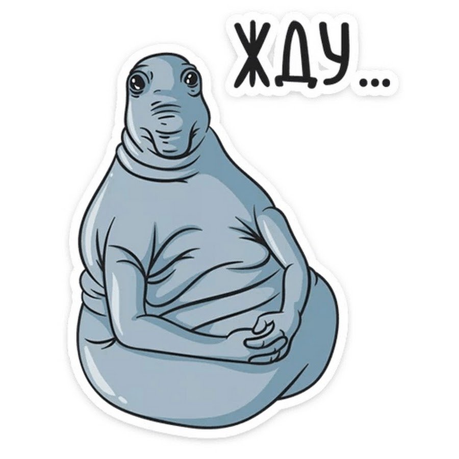 Ждун Купчиха