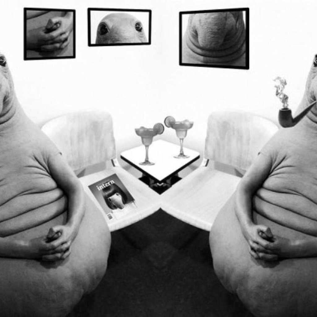 Ждун ждет денег