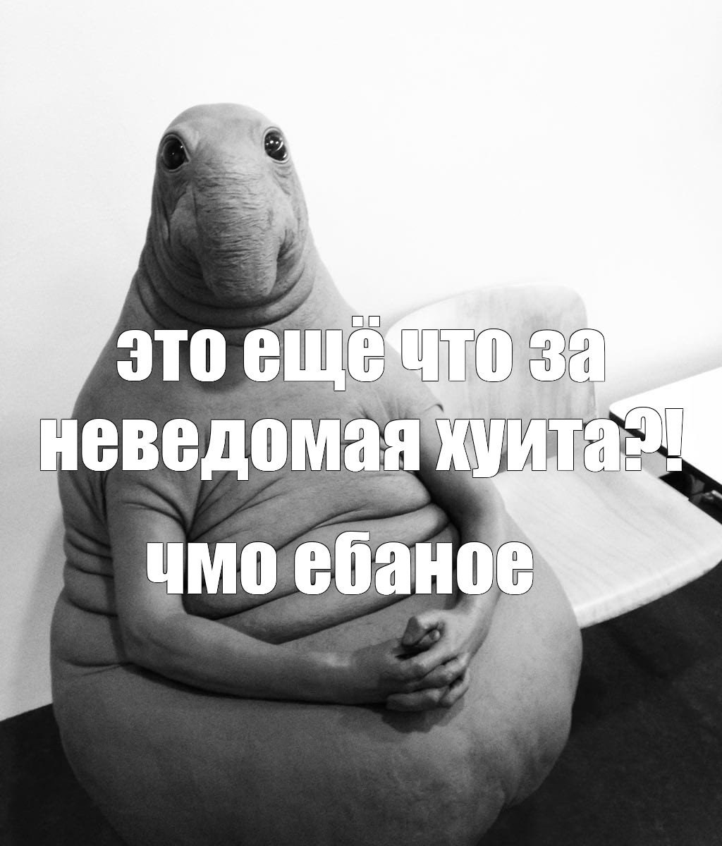 Ждун отпуск