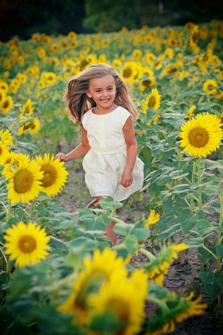 Подсолнух красками