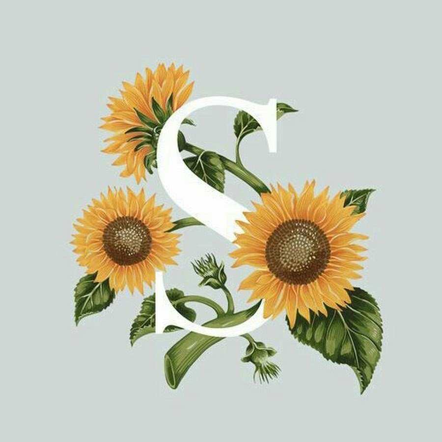 Подсолнух вектор ретро