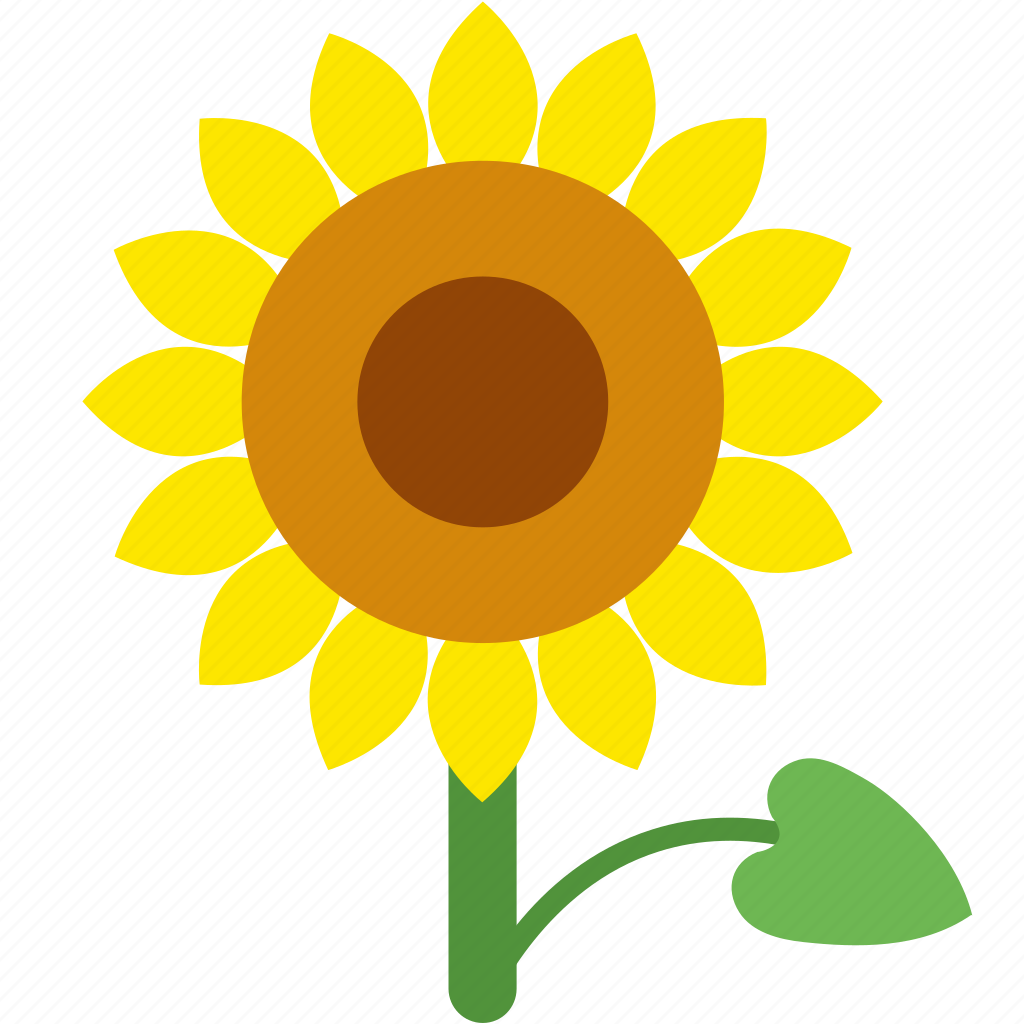 Подсолнух карандашом