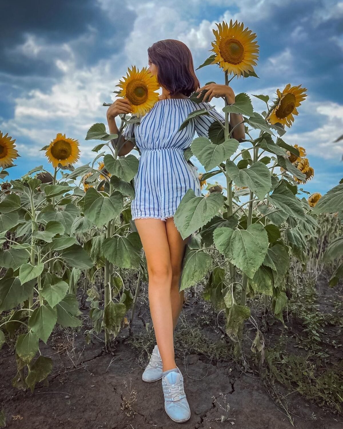 Подсолнух солнце эскиз