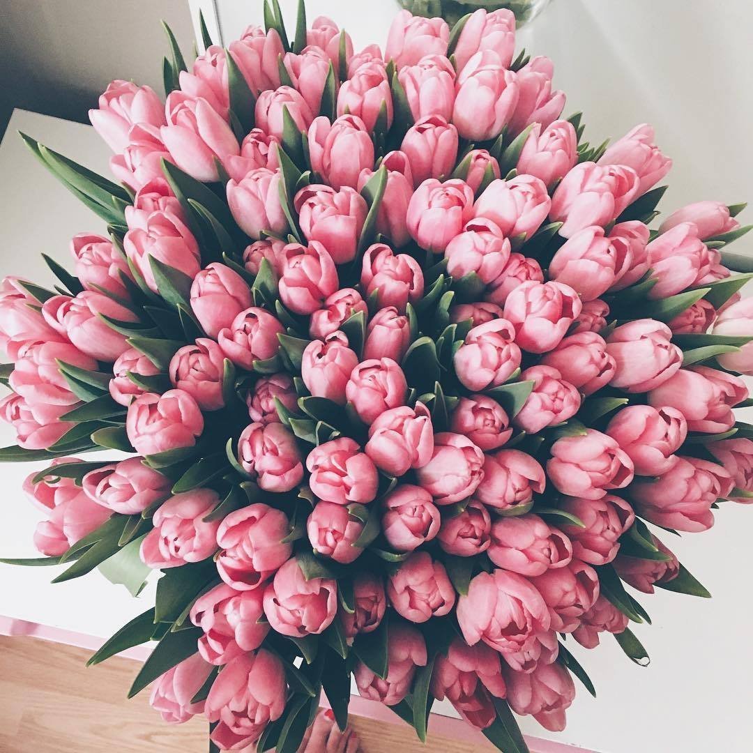 Букет тюльпанов