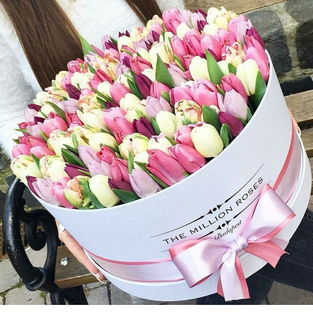 Тюльпан букетный