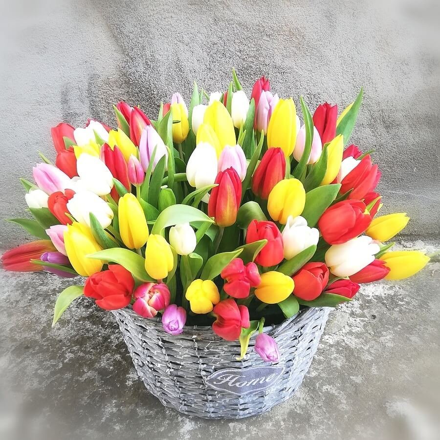 Тюльпаны букет картинки