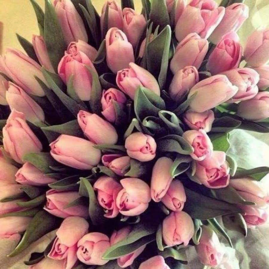 Шикарный букет тюльпанов