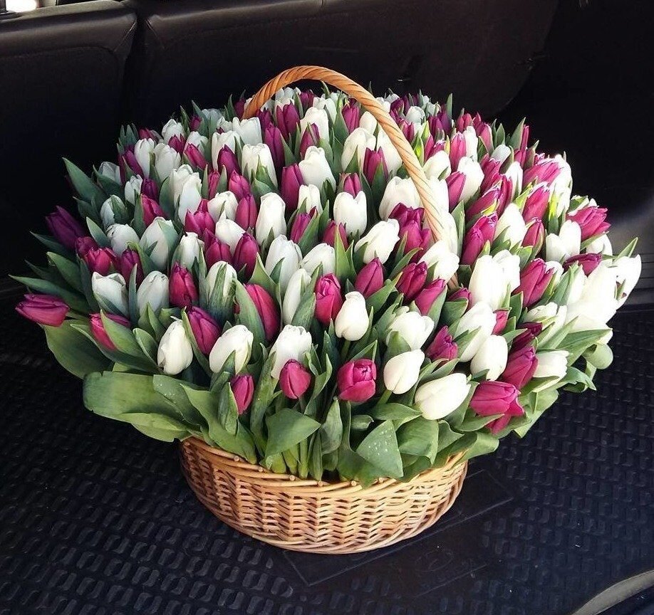 Букет тюльпанов Пинтерест