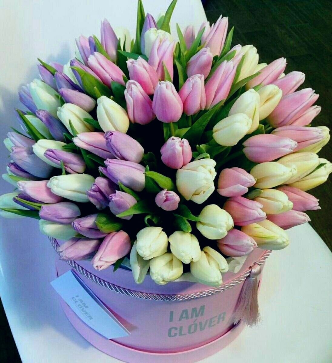 Пионовидный тюльпан