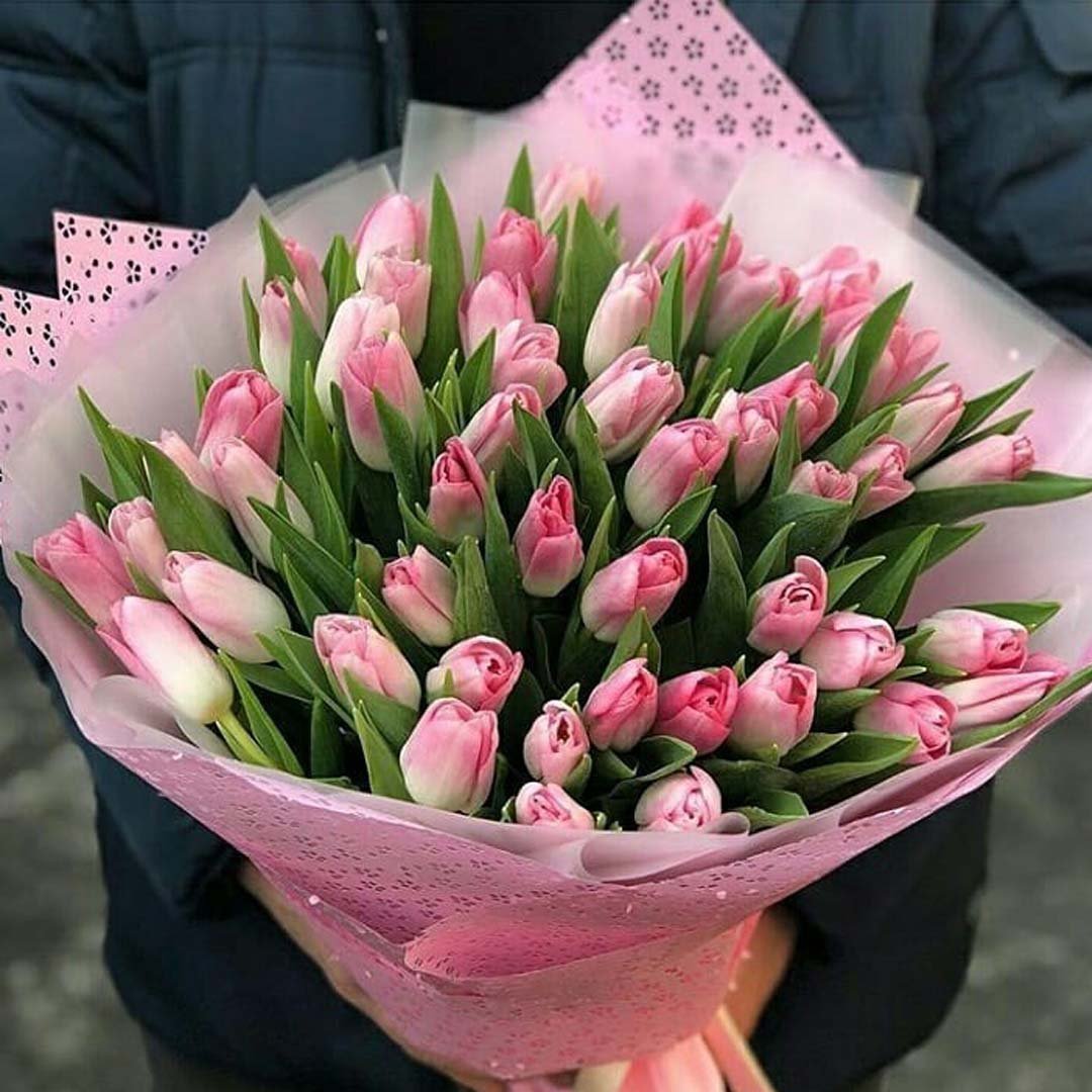 Большой букет тюльпанов картинки