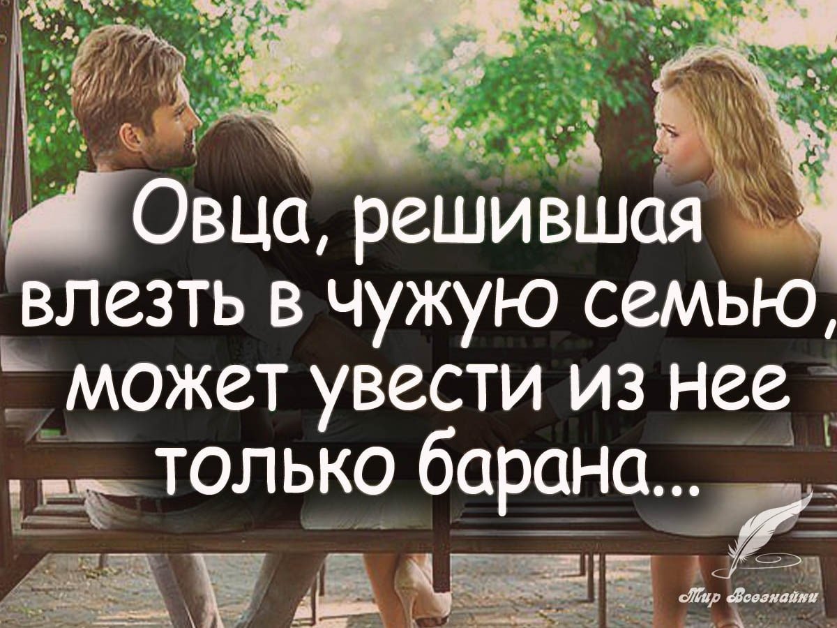 Семья это цитаты