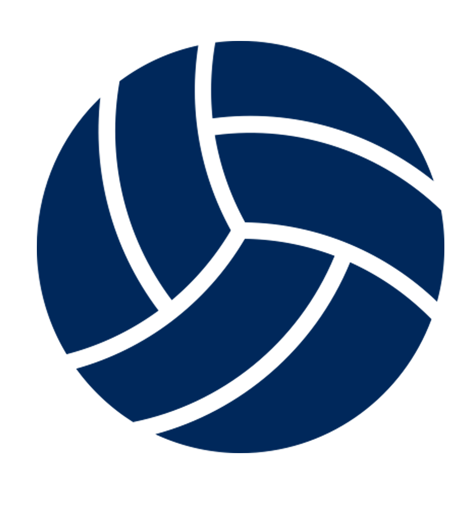 Мячик волейбольный рисунок Микаса