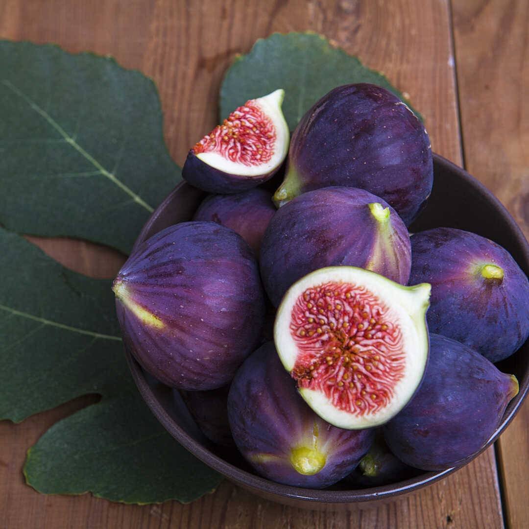 Инжир синий