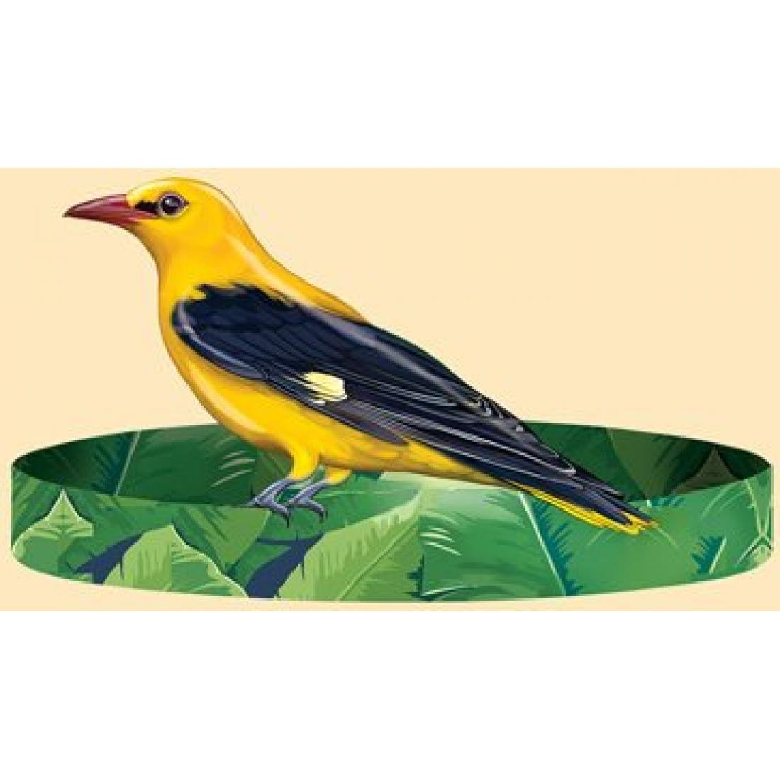 Иволга монашенка