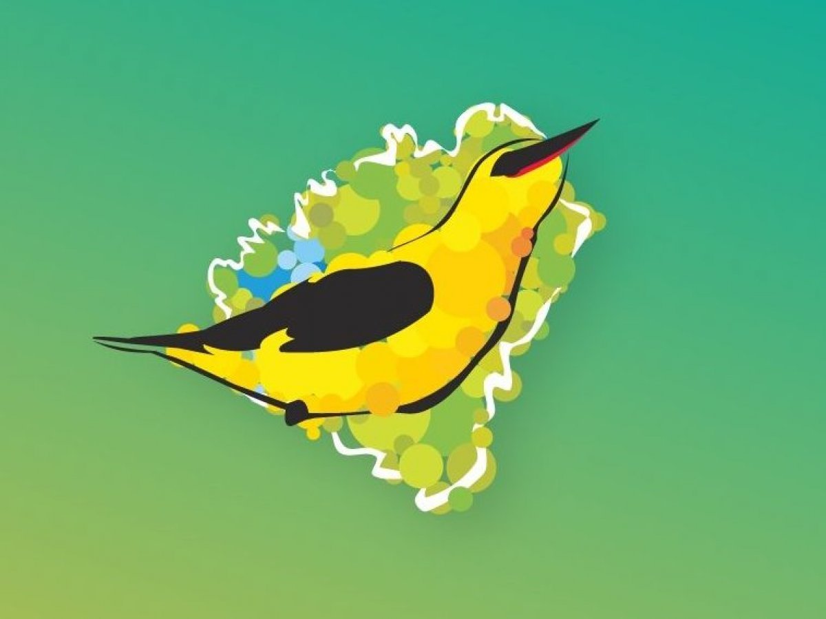 Iволга молодёжный форум