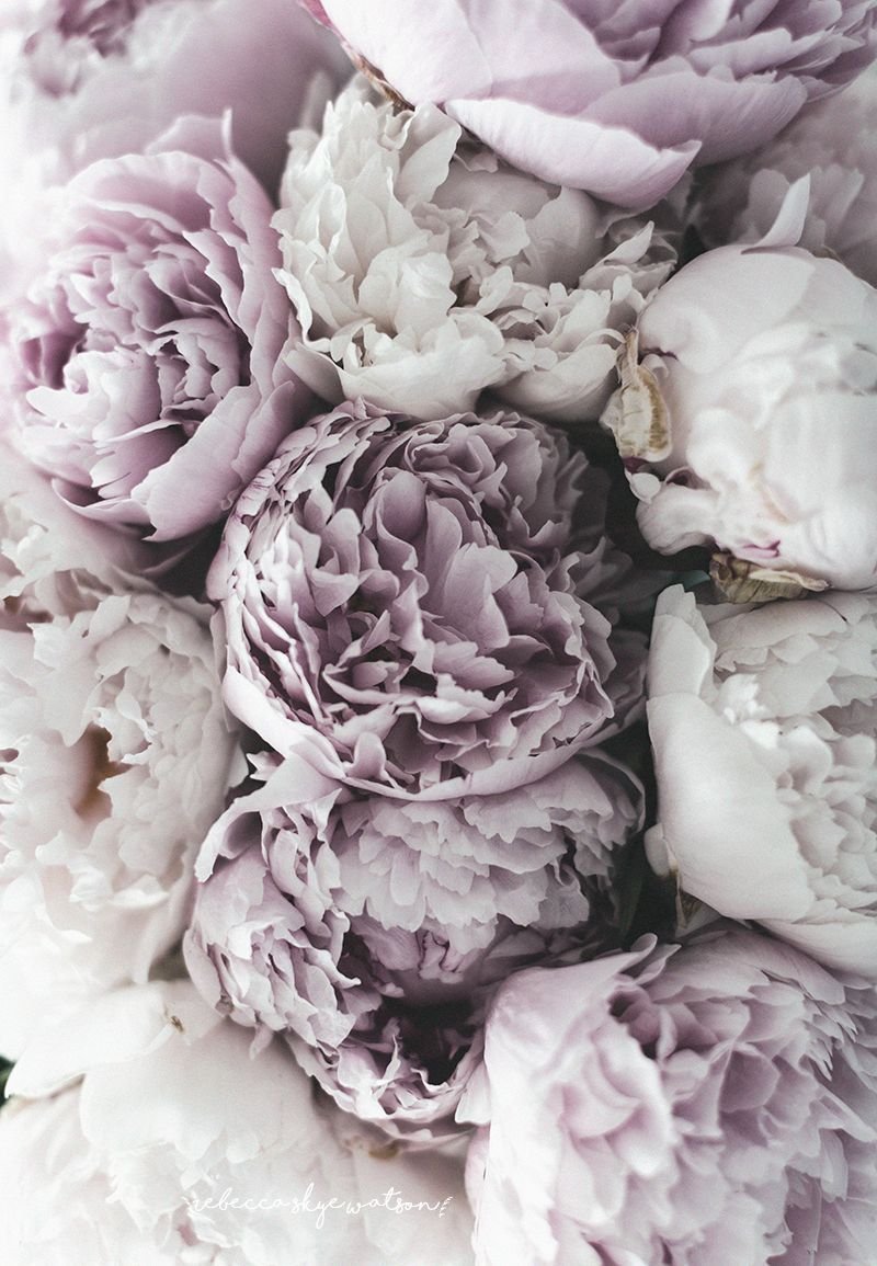 Мраморные пионы