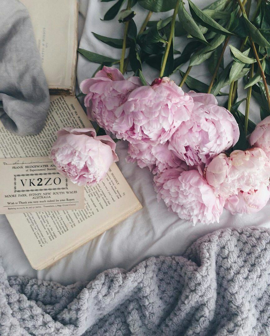 Пионы из пинтереста