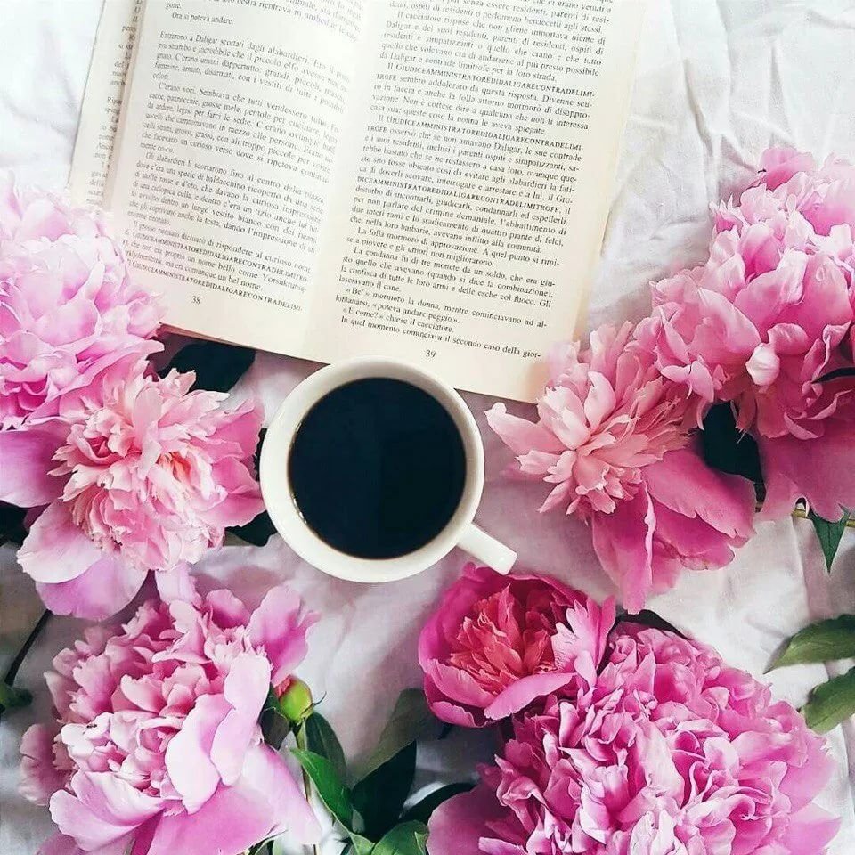 Книга кофе цветы